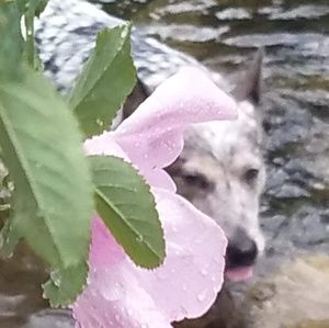 Meet your Posher, Terri